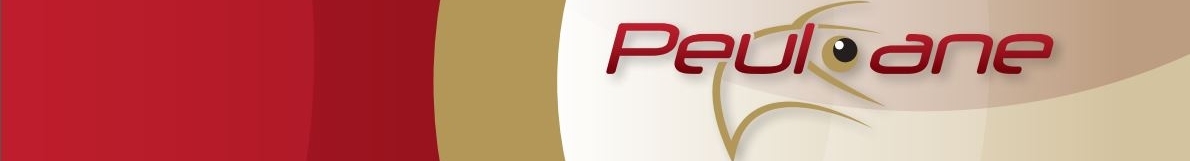 Peuloane Private Security Specialists