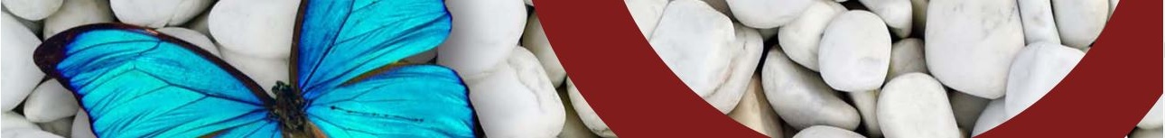 Peuloane Private Security Specialists